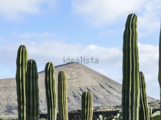Ático en alquiler en Tinajo, Canarias