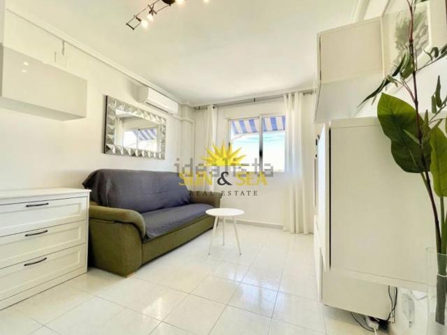 Piso en alquiler en Cabo Cervera-Playa la Mata, Torrevieja