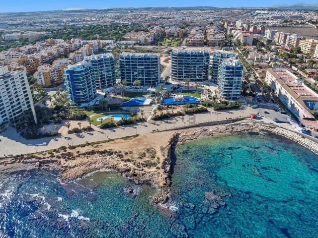 Piso en alquiler en Urbanización Punta Prima, el Baix Segura / La Vega Baja