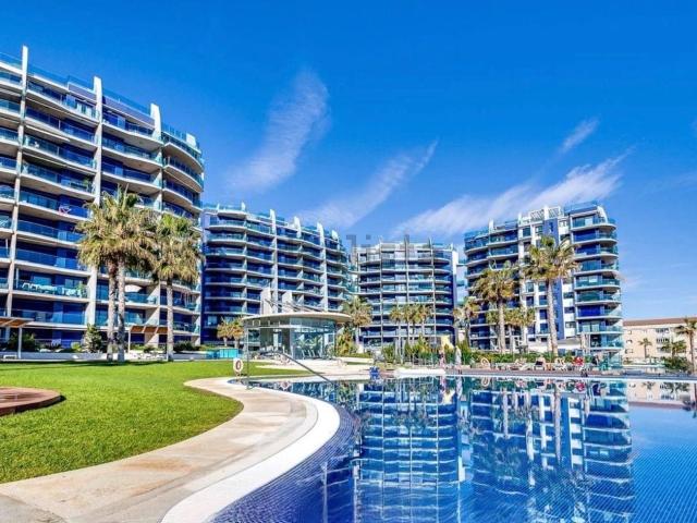Piso en alquiler en Urbanización Punta Prima, el Baix Segura / La Vega Baja