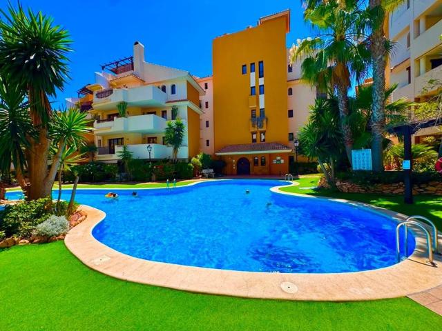 Piso en venta en Urbanización Punta Prima, el Baix Segura / La Vega Baja