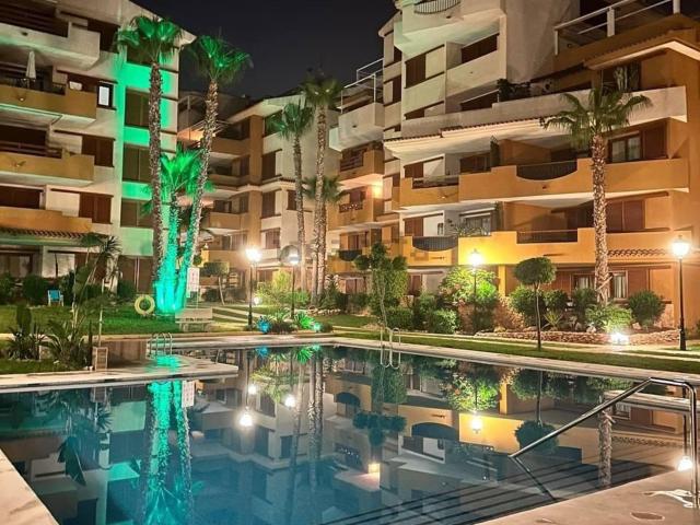 Piso en alquiler en Urbanización Punta Prima, el Baix Segura / La Vega Baja