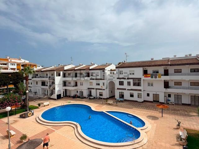 Piso en alquiler en Urbanización Punta Prima, el Baix Segura / La Vega Baja