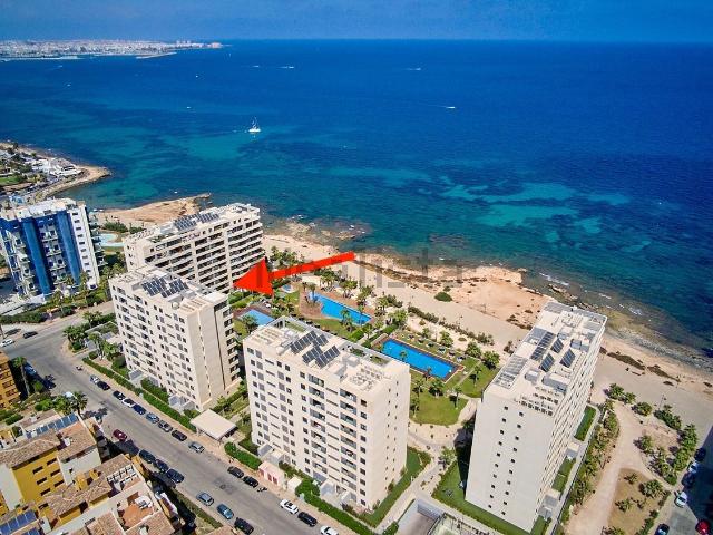 Piso en venta en Urbanización Punta Prima, el Baix Segura / La Vega Baja