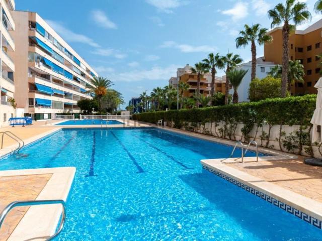 Piso en venta en Urbanización Punta Prima, el Baix Segura / La Vega Baja