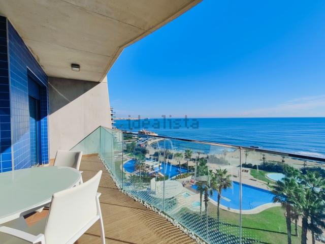 Piso en alquiler en Urbanización Punta Prima, el Baix Segura / La Vega Baja