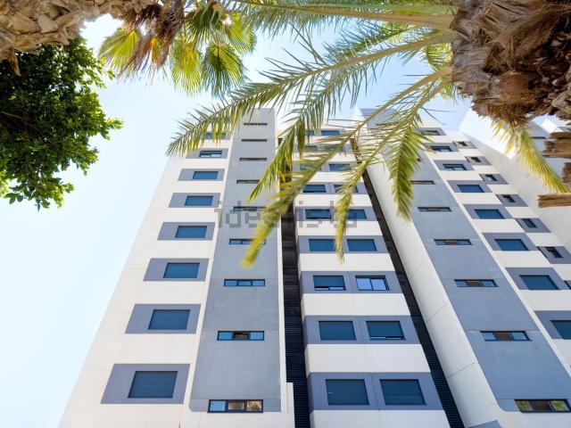 Piso en venta en Urbanización Punta Prima, el Baix Segura / La Vega Baja
