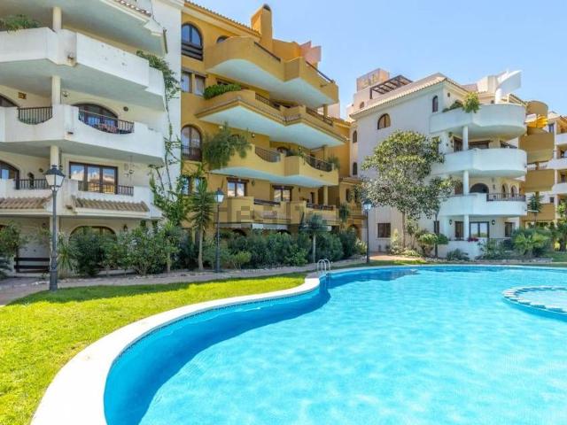 Piso en venta en Urbanización Punta Prima, el Baix Segura / La Vega Baja