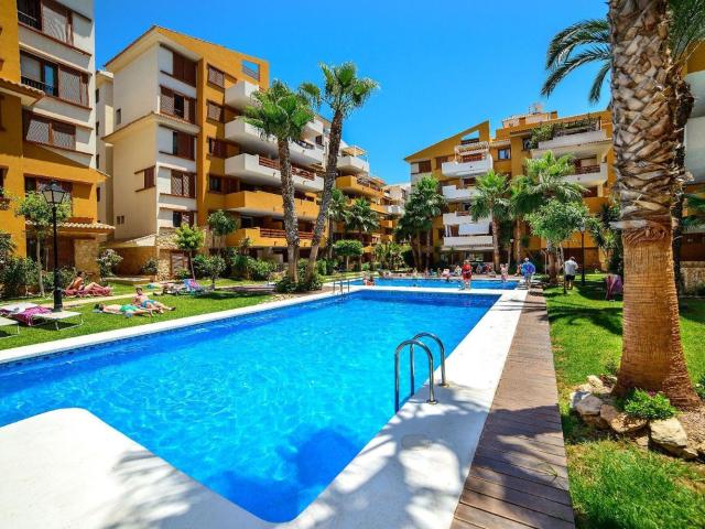 Piso en alquiler en Urbanización Punta Prima, el Baix Segura / La Vega Baja