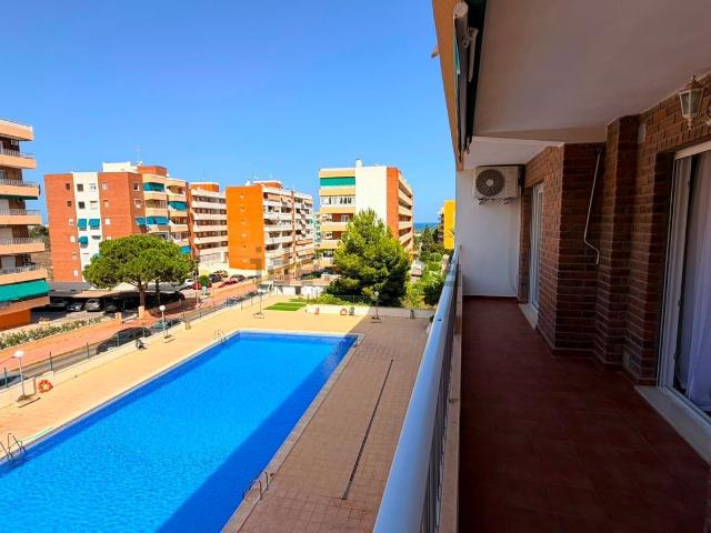 Piso en venta en Urbanización Punta Prima, el Baix Segura / La Vega Baja