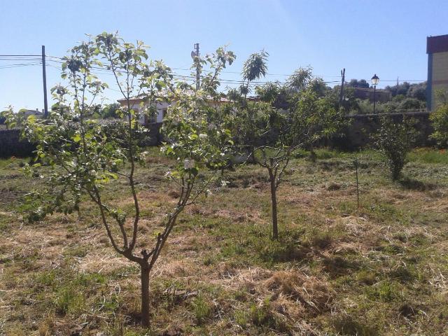 Piso en venta en Trujillo, Extremadura