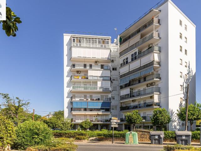 Piso en venta en Nueva Andalucía, Campiña de Jerez