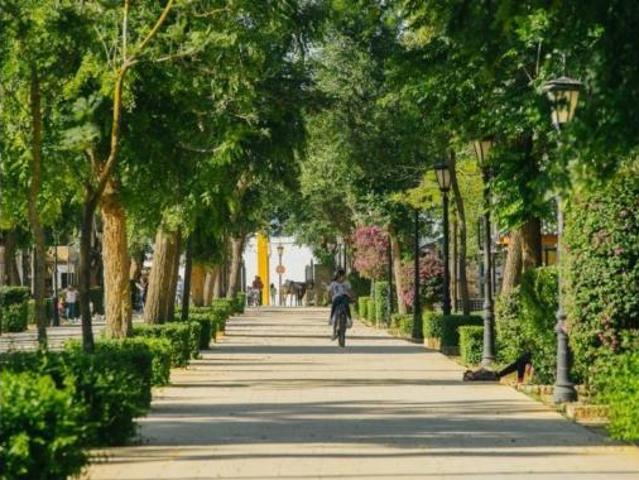 Piso en venta en Coria Del Río, Andalucía