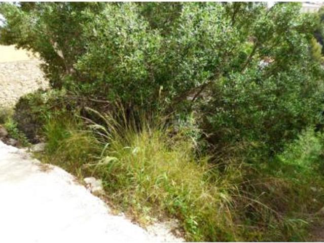 Piso en venta en les Rotes, la Marina Alta