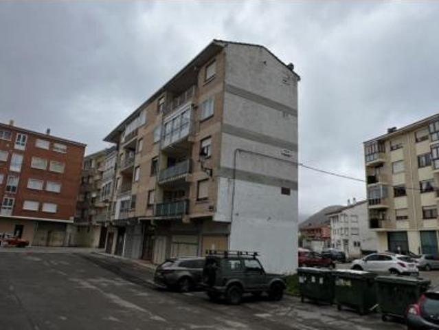 Piso en venta en Espinosa De Los Monteros, Castilla y León