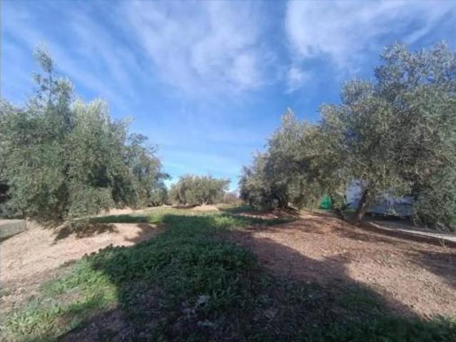 Piso en venta en Urbanización Marivela, Fuensanta de Martos