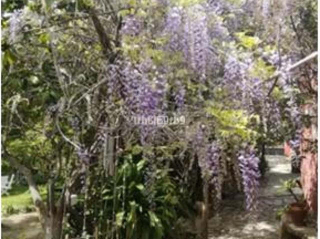 Piso en venta en Serranía de Ronda, Andalucía