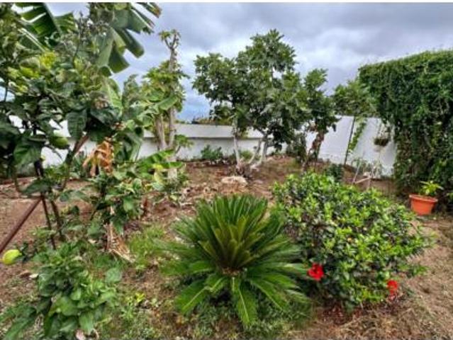Piso en venta en Tenerife, Tío Andrés