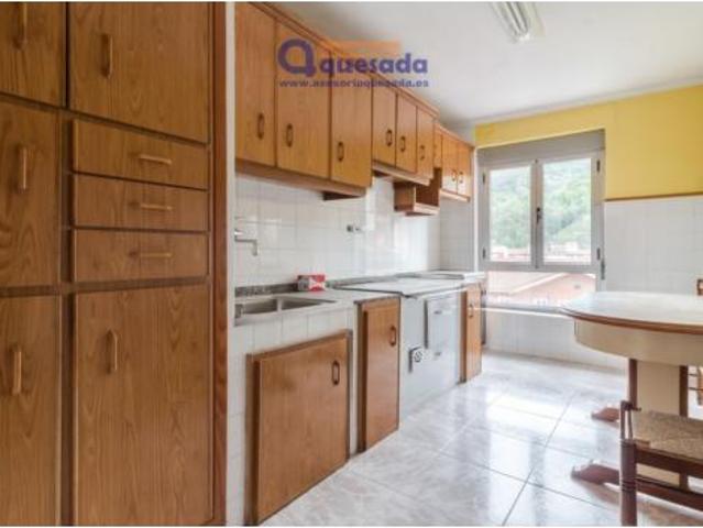Piso en venta en Lena, Asturias