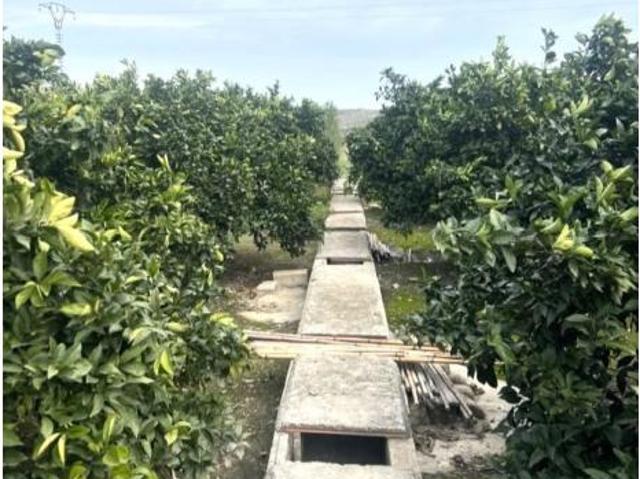 Piso en venta en la Ribera Alta, Valencia