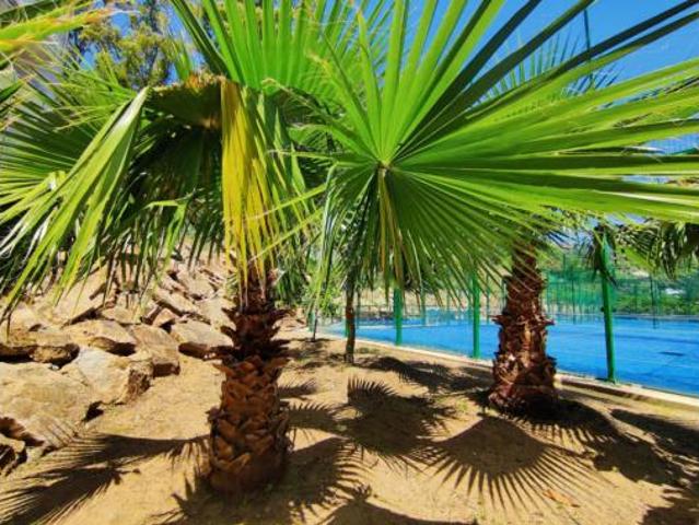 Piso en venta en la Montgoda, la Selva