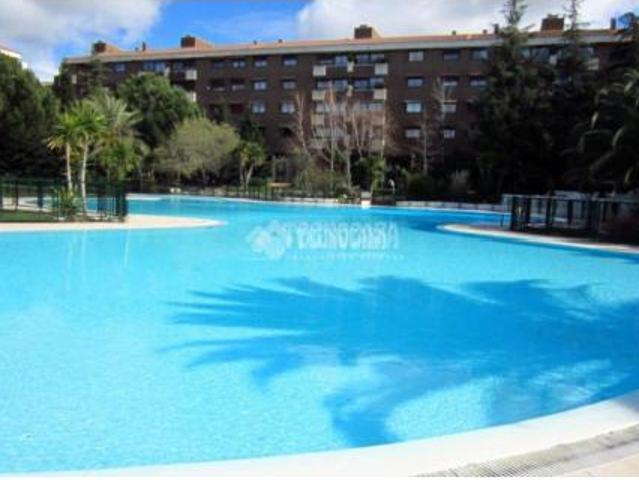 Piso en venta en Fuencarral - El Pardo, Madrid