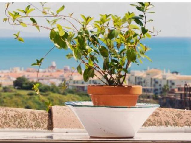 Piso en venta en Castillo de la Duquesa, Costa del Sol Occidental