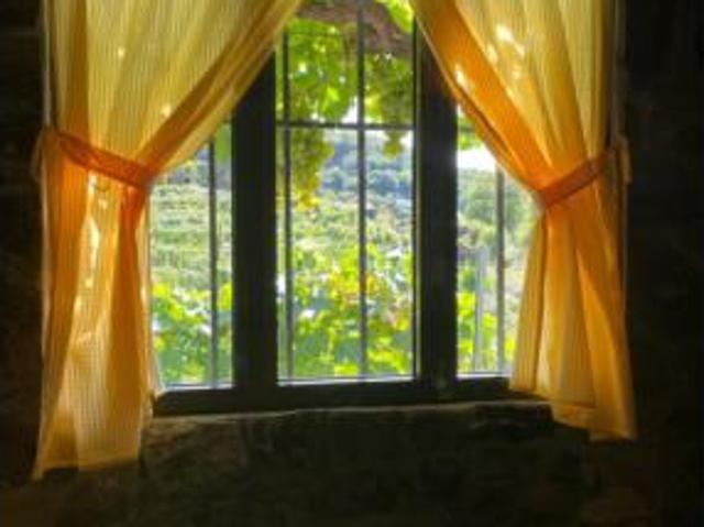 Piso en venta en O Saviñao, Terra de Lemos