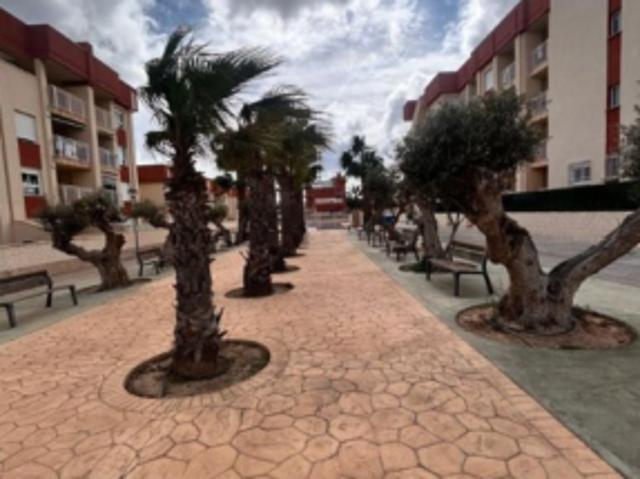 Piso en venta en el Baix Segura / La Vega Baja, Valencia