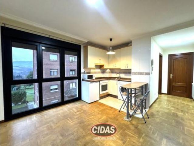 Piso en venta en Oviedo, Asturias