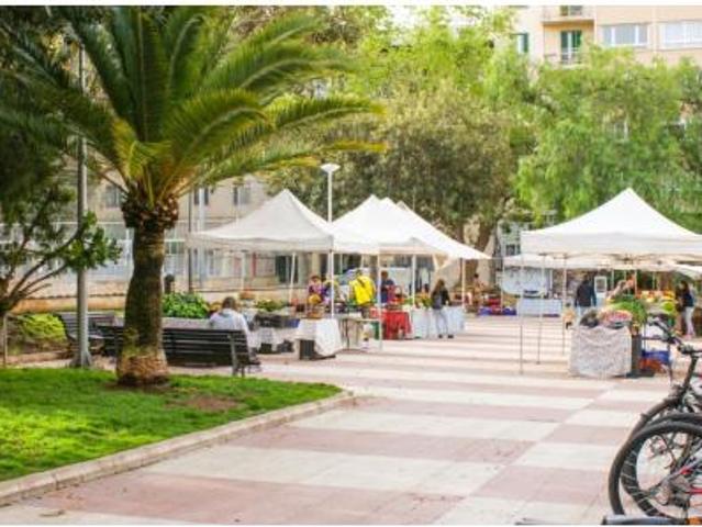 Piso en venta en Palma, Canavall
