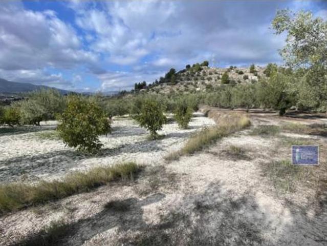 Piso en venta en l'Alcoià, Valencia