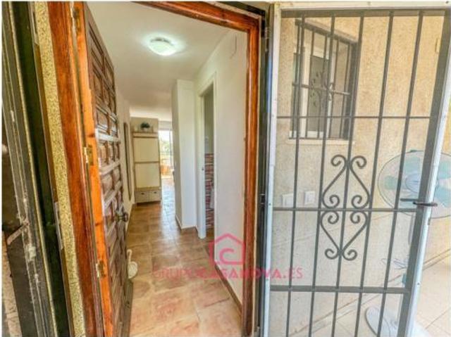 Piso en venta en Mil Palmeras, el Baix Segura / La Vega Baja