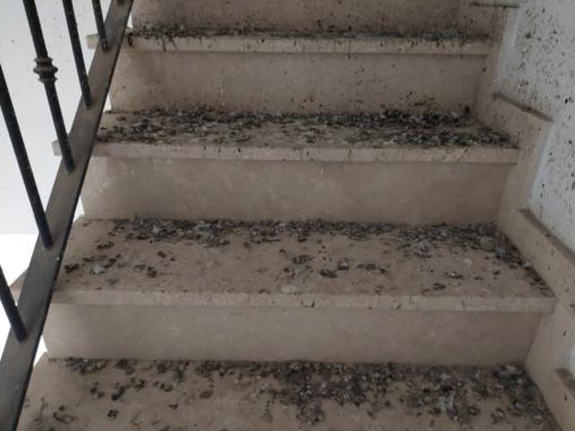 Piso en venta en Sierra de Cádiz, Andalucía