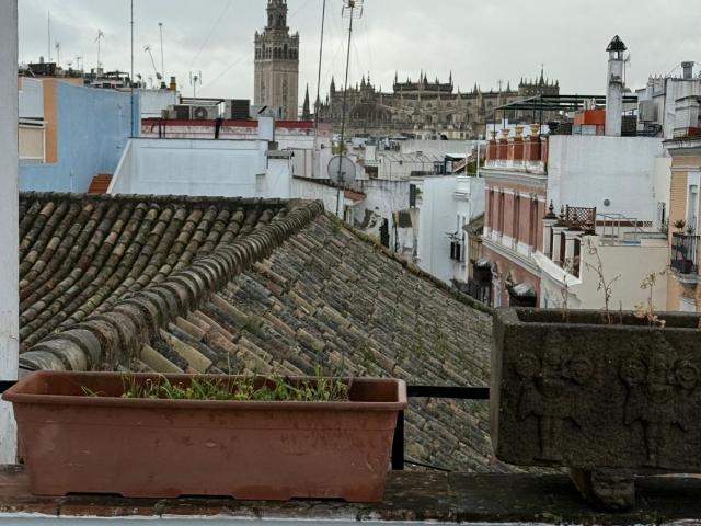 Piso en venta en Casco Antiguo, Sevilla
