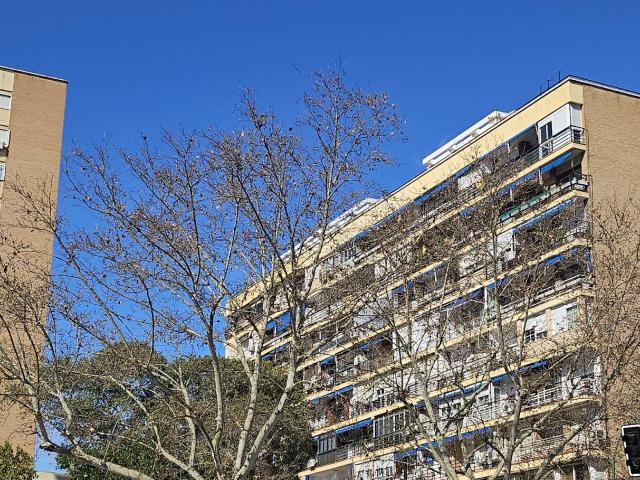 Piso en venta en Nervión, Sevilla