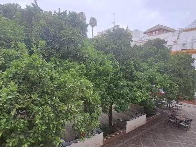 Piso en venta en Santa Cruz, Sevilla