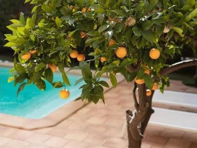 Piso en venta en l'Horta, Serra de Tramuntana