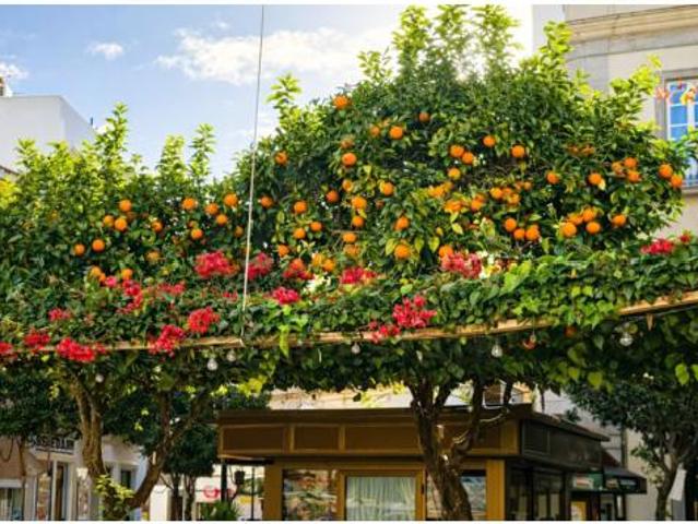 Piso en venta en Facinas, Campo de Gibraltar