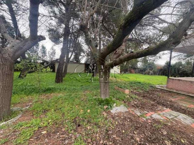 Chalet en venta en Yuncler, Castilla-La Mancha