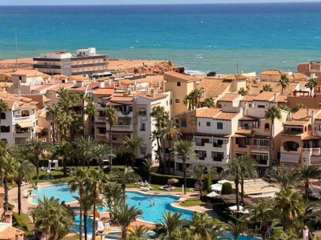 Ático en alquiler en La Rosaleda, el Baix Segura / La Vega Baja