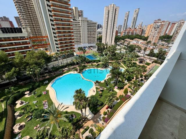 Piso en alquiler en Benidorm, el Racó de l'Oix