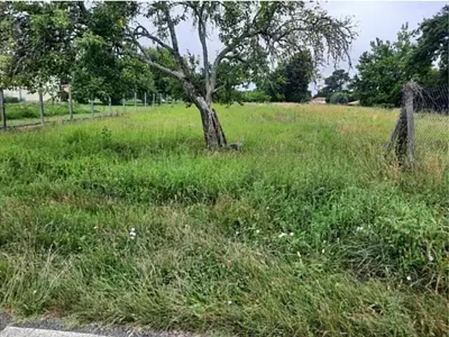 Terrain vente à Pissos, Landes