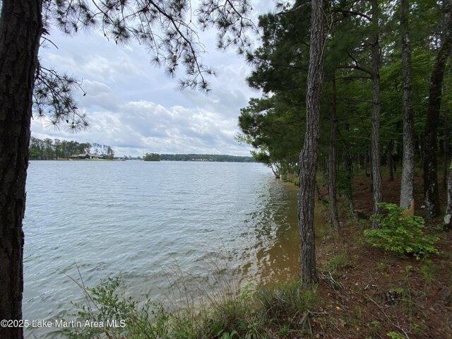 Land for sale in Alexander City