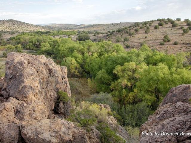 Farm for sale in Silver City, New Mexico