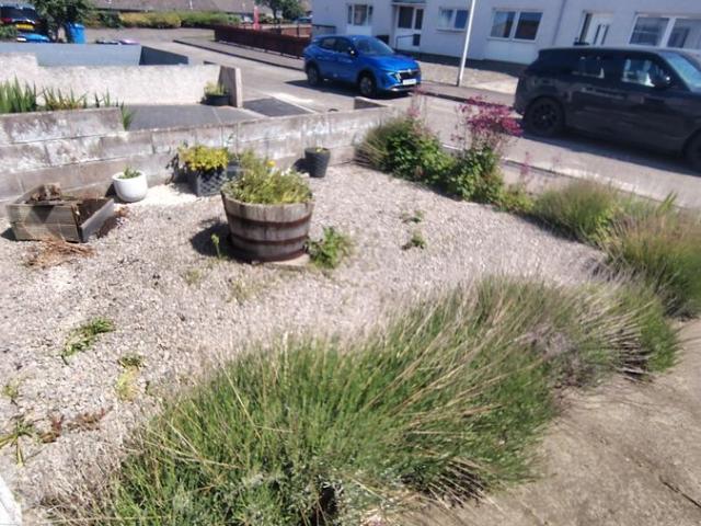 House for rent in Gowanbank, Forfar