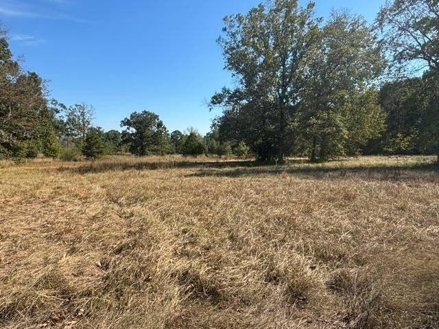 Land for sale in Many, Sabine Parish
