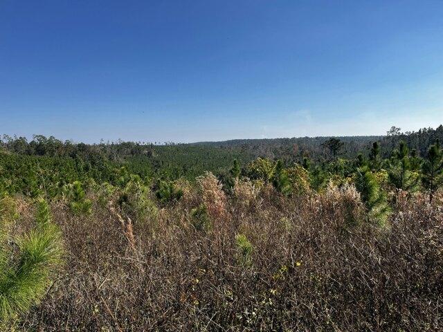 Land for sale in Altha