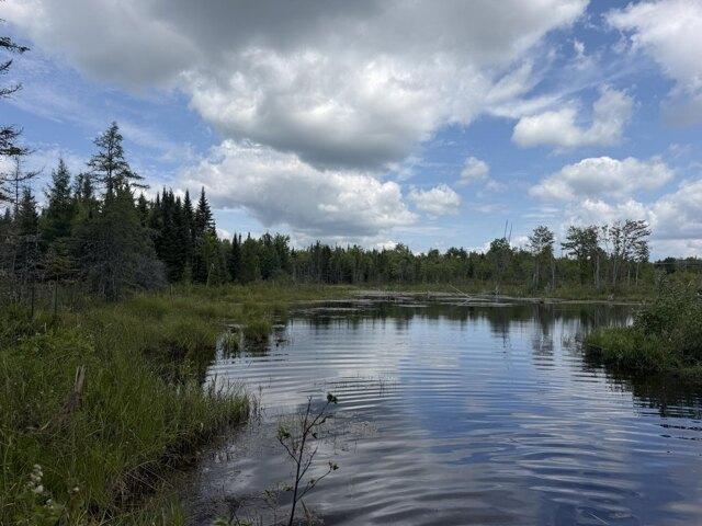 Land for sale in Pittsfield, Maine
