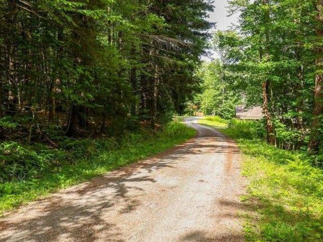 Land for sale in Pittsfield, Vermont